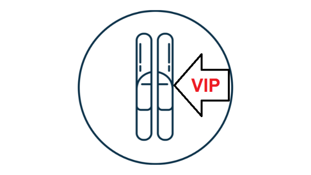 VIP Ski rental 